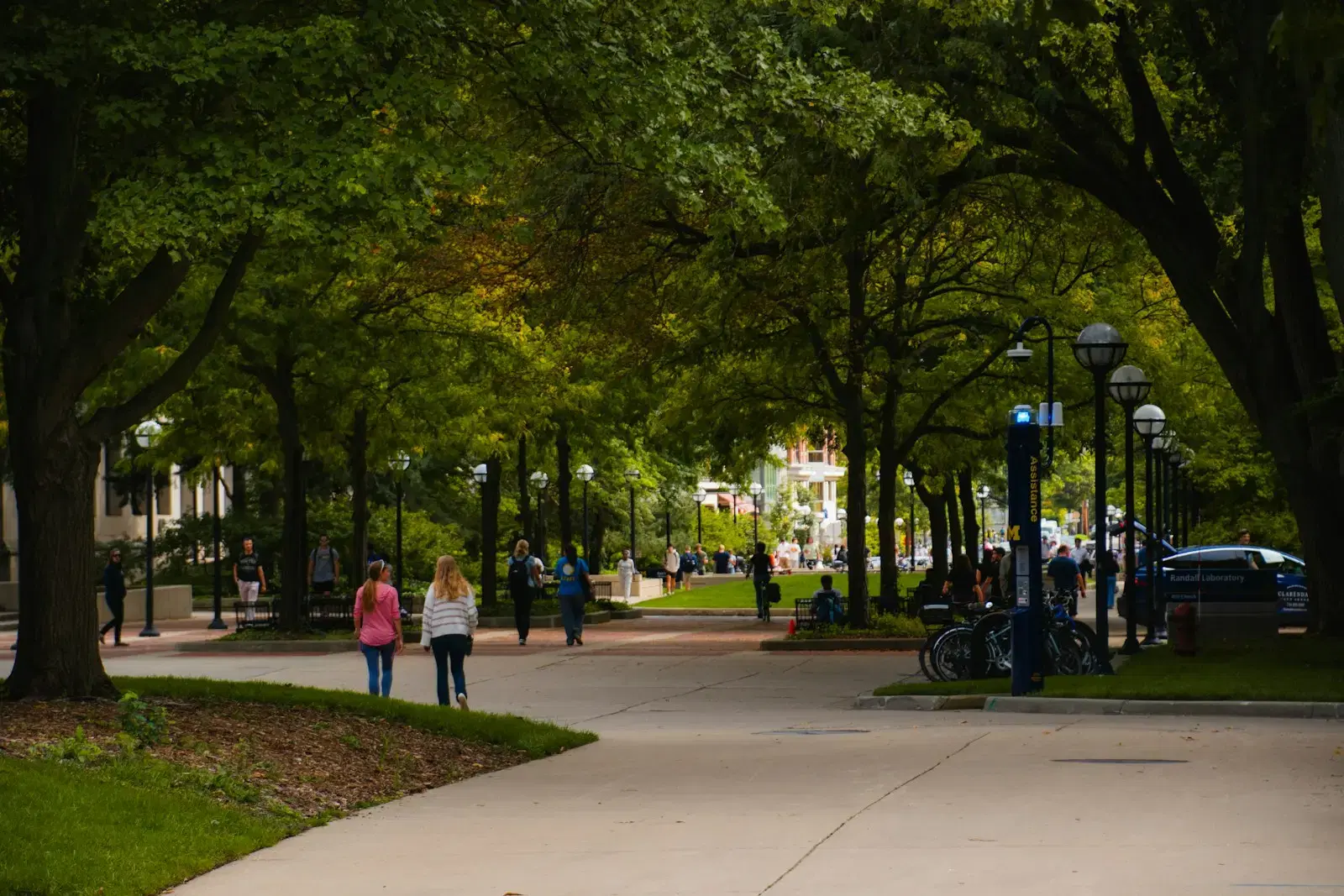 Students walking along a wide path under a canopy of trees on a campus