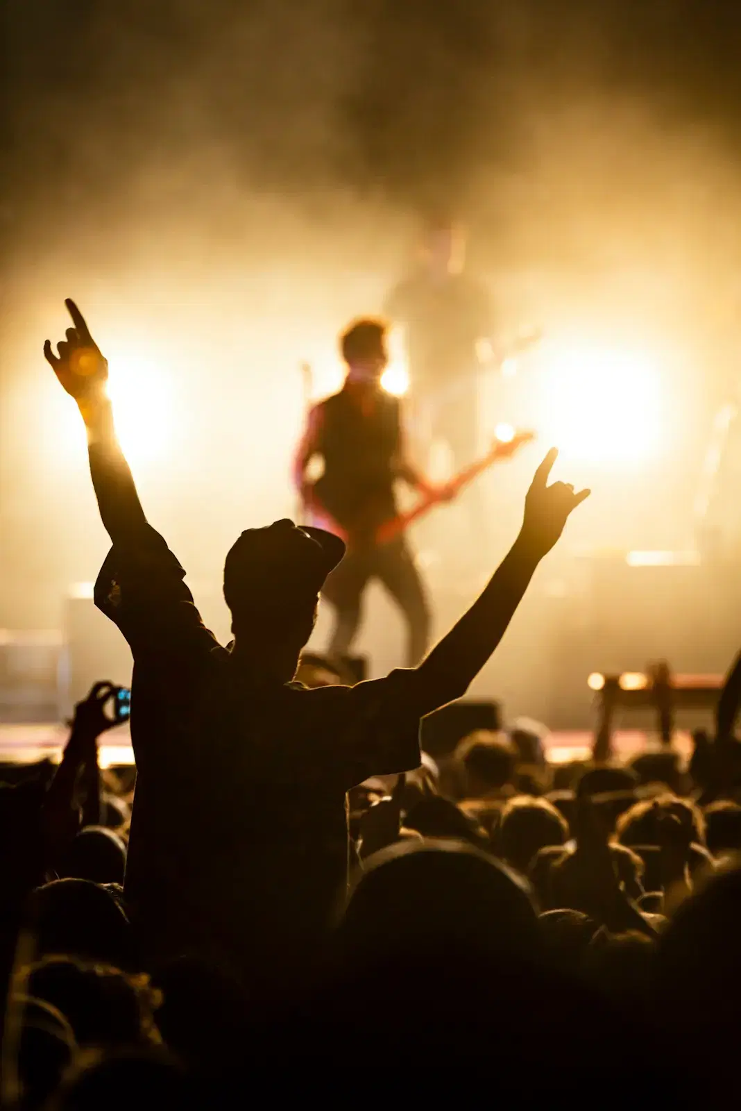 A fan with both arms raised in silhouette against a lit stage where a guitarist plays