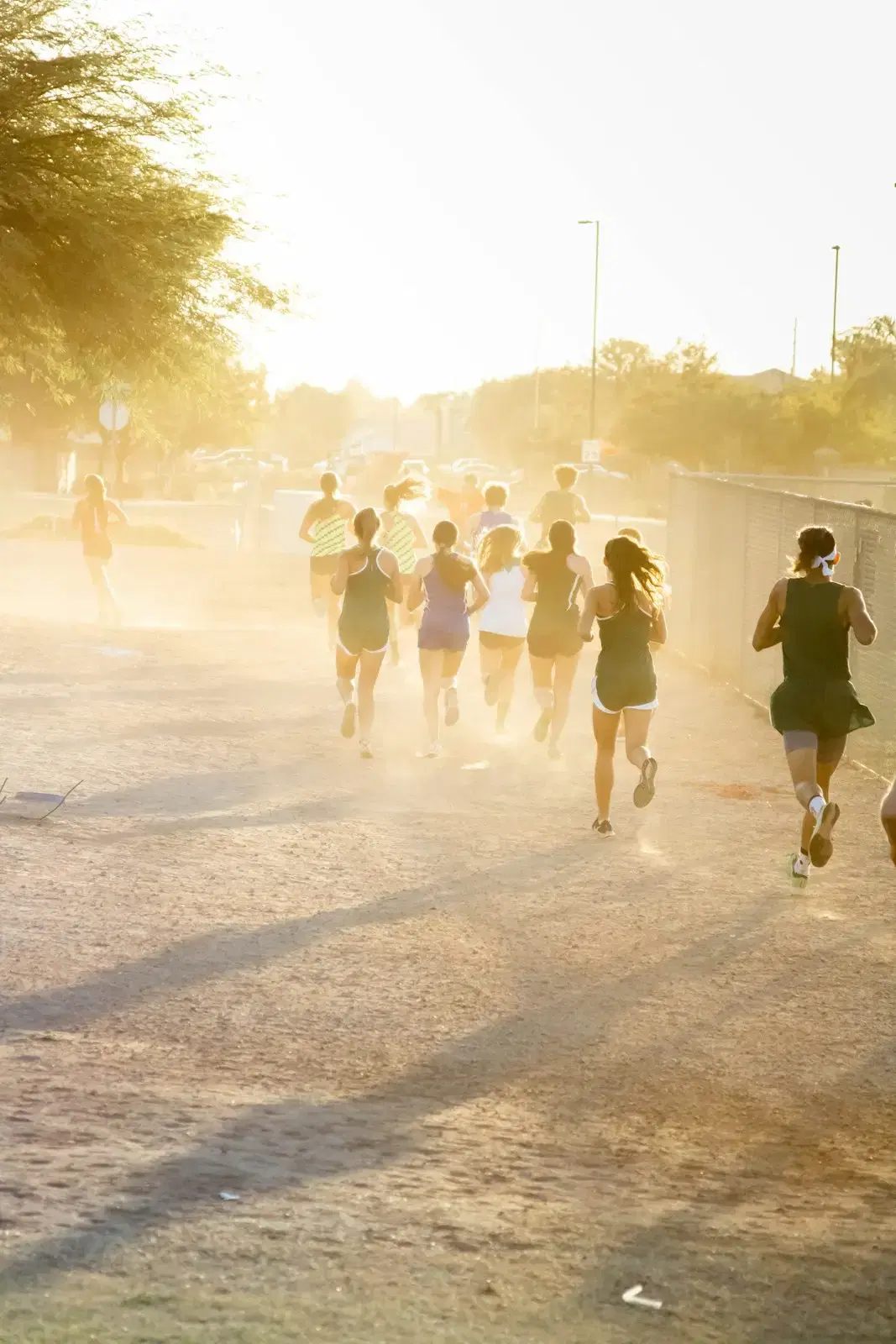 A group of runners on a dusty road, backlit by a low sun