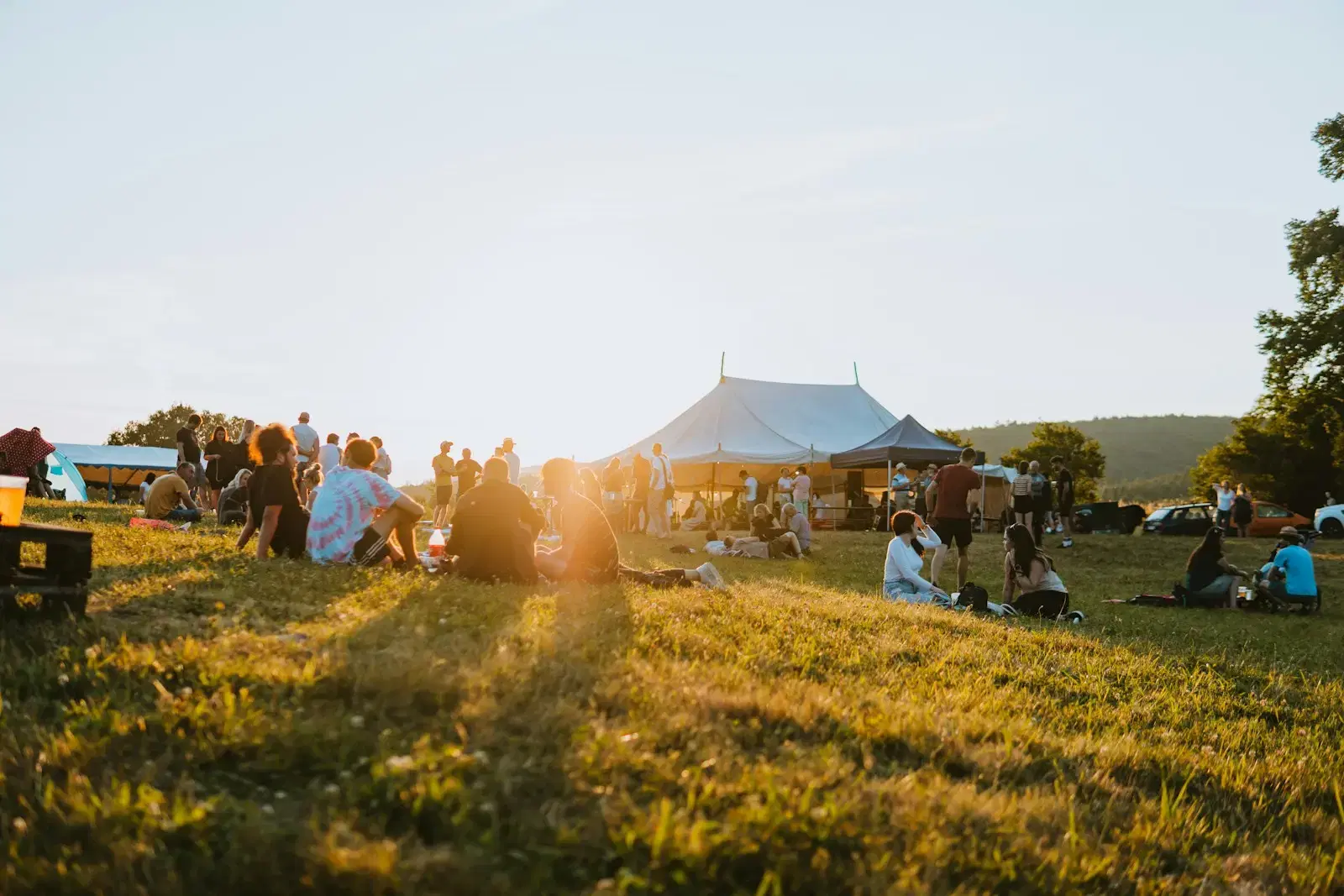 Small groups sitting on a grassy rise in low evening sun