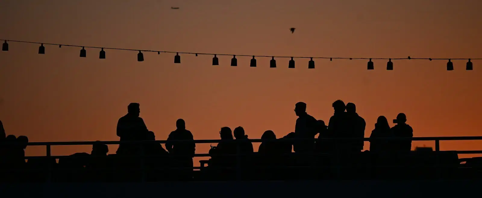 Silhouettes of people on a rooftop under a string of lights, against an orange sunset sky